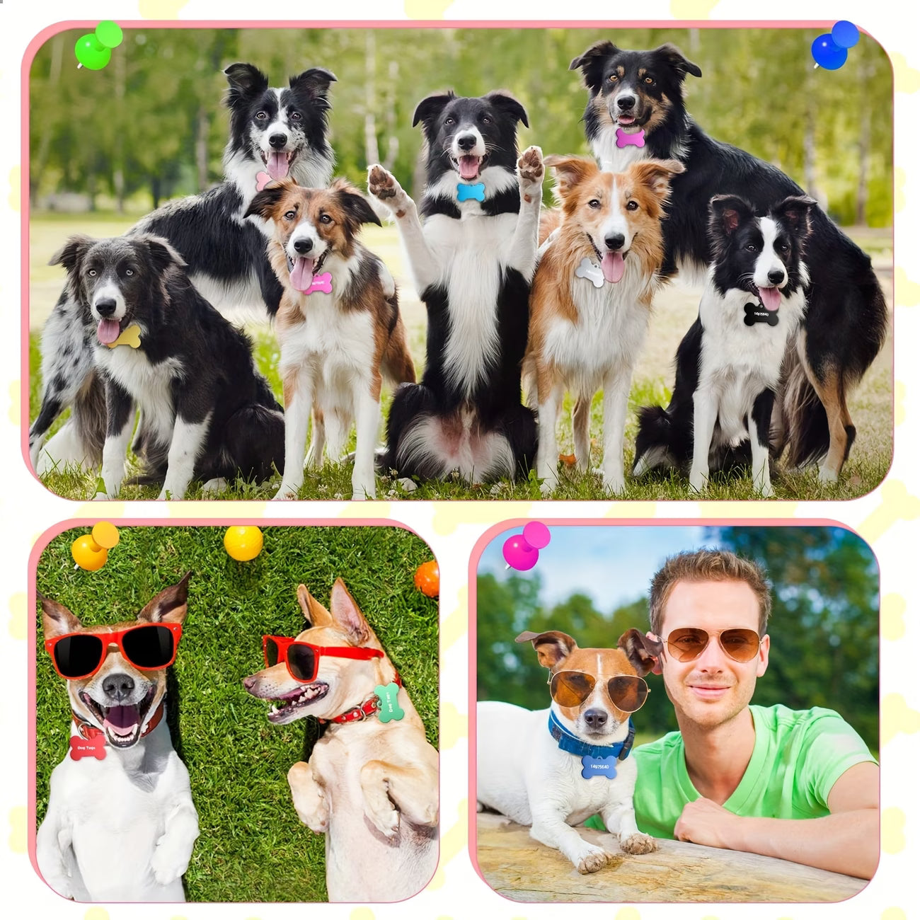 Targhetta personalizzata per Animali